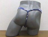 62013�@���L�@�Ώ����i���j