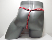 62027�@���L�@���܂�ʁi�ԁj