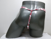 62034�@���L�@�O���G��i�������j