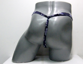 62036�@���L�@�����߂Ђ���Ƃ�